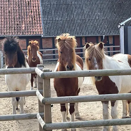 Prettur Appartement Damnatz