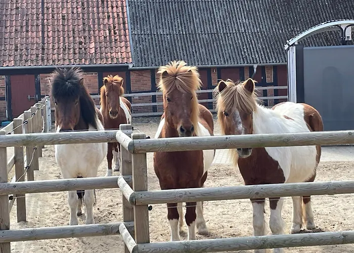 Prettur 公寓 Damnatz